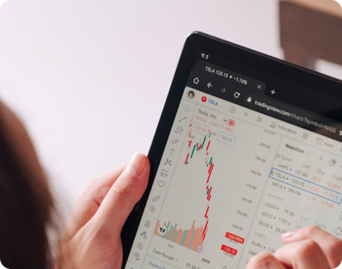 Investalya team consulting